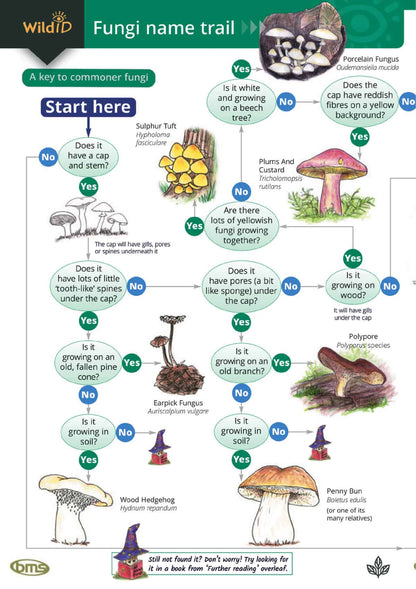Fungi Name Trail - Wild ID Guide