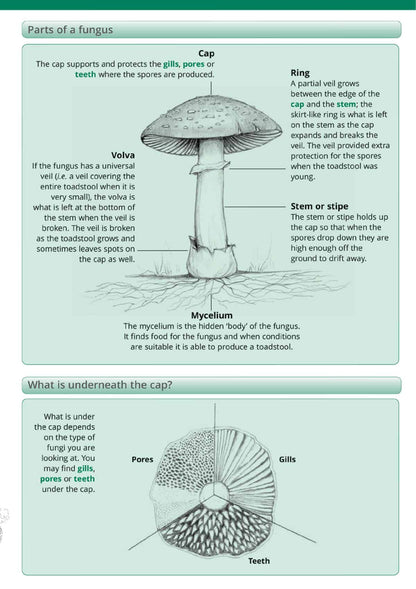 Fungi Name Trail - Wild ID Guide