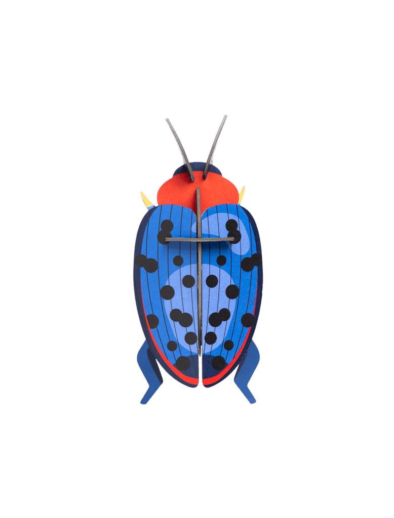 Fungus Beetle - StudioROOF