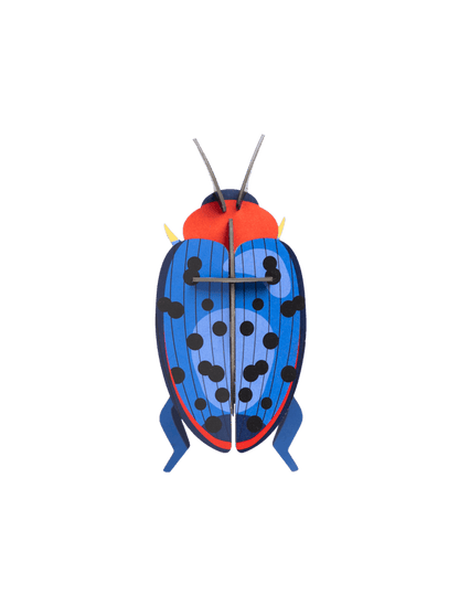 Fungus Beetle - StudioROOF