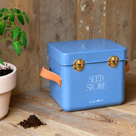 Mini Seed Store - Cotswold Blue