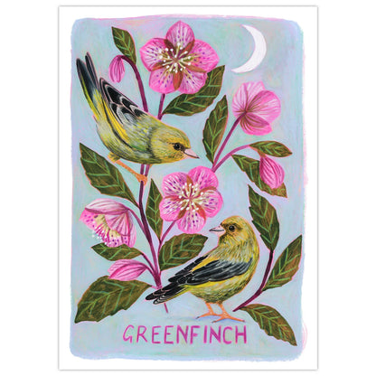 Greenfinch Art Print