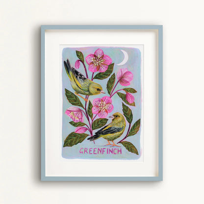 Greenfinch Art Print