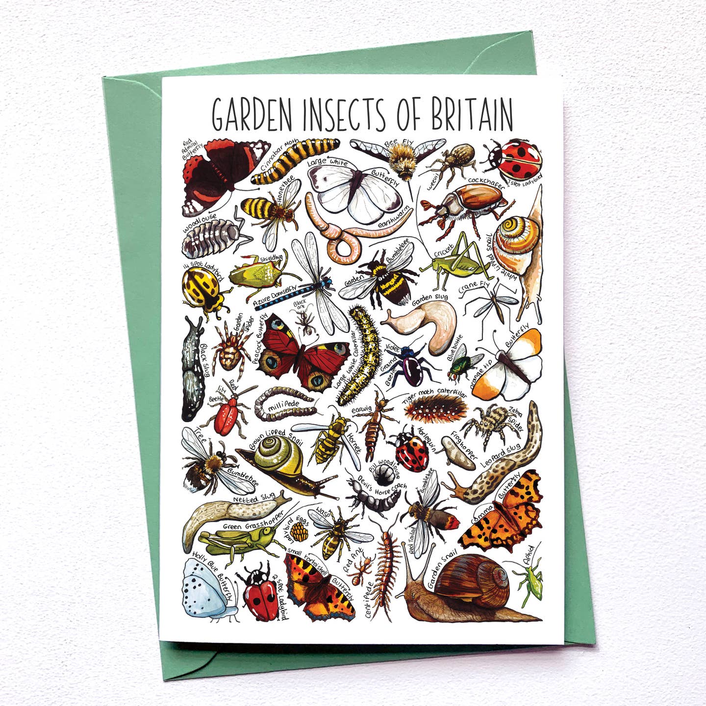Garden Insects - Greetings Card