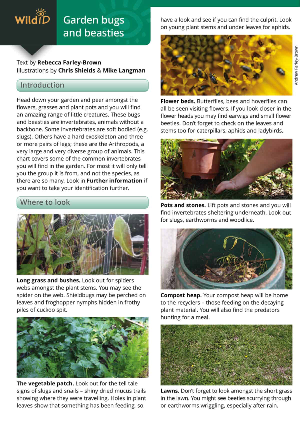 Garden Bugs and Beasties - Wild ID Guide