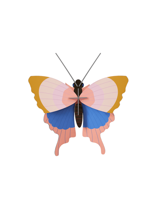 Gold Rim Butterfly - StudioROOF