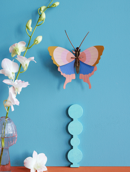 Gold Rim Butterfly - StudioROOF