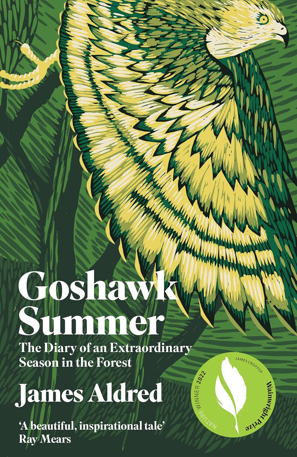 Goshawk Summer - By James Aldred