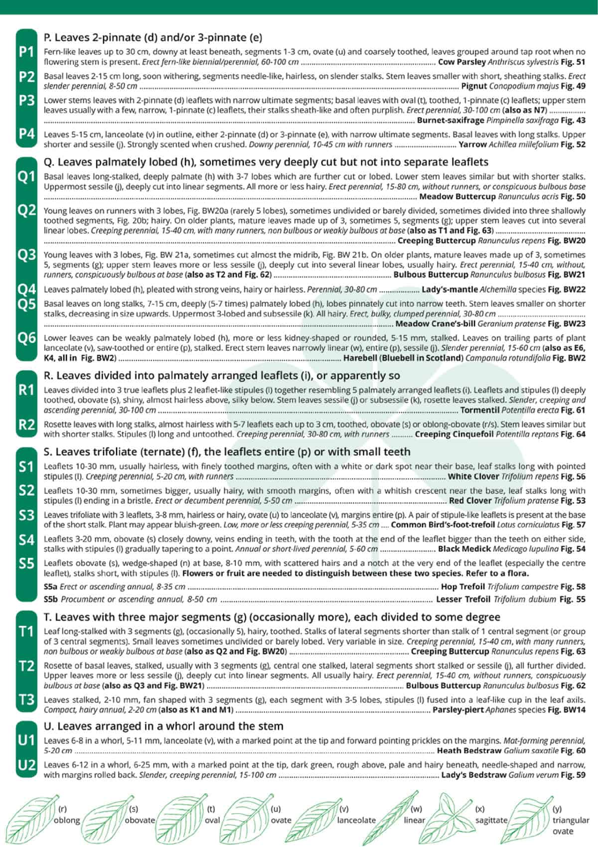 Grassland Plants - Wild ID Guide