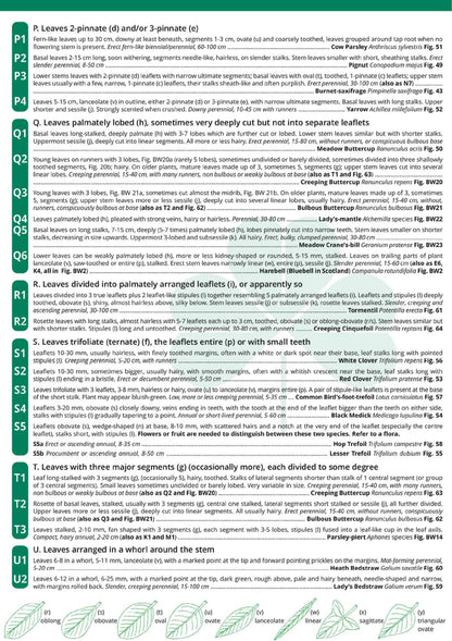 Grassland Plants - Wild ID Guide