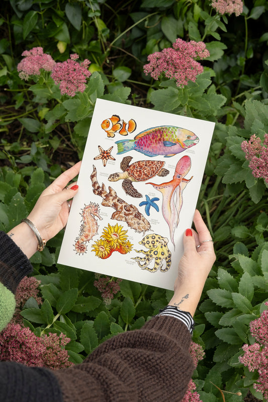 Great Barrier Reef Art Print