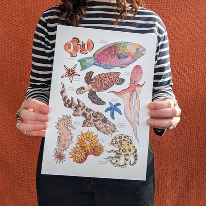 Great Barrier Reef Art Print