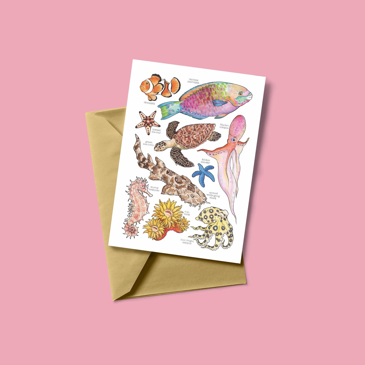 Great Barrier Reef Greetings Card