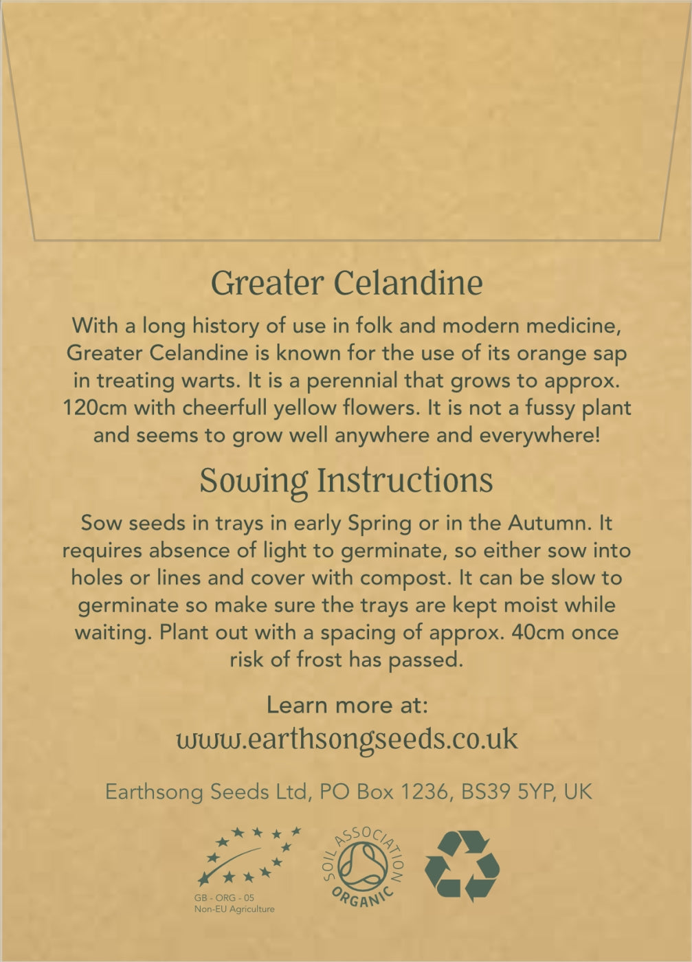 Greater Celandine - Seed Packet