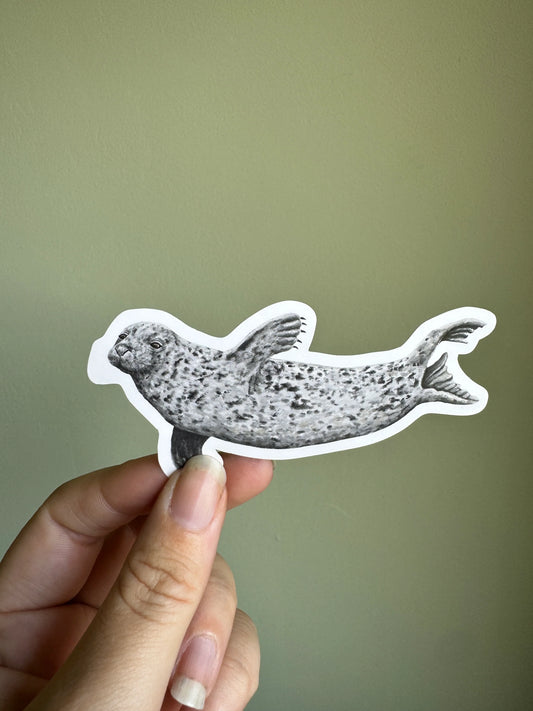 Grey Seal  - Vinyl Sticker