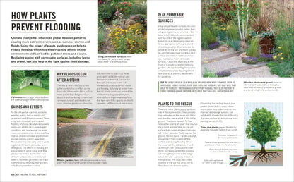 Grow Eco-Gardening - By Zia Allaway