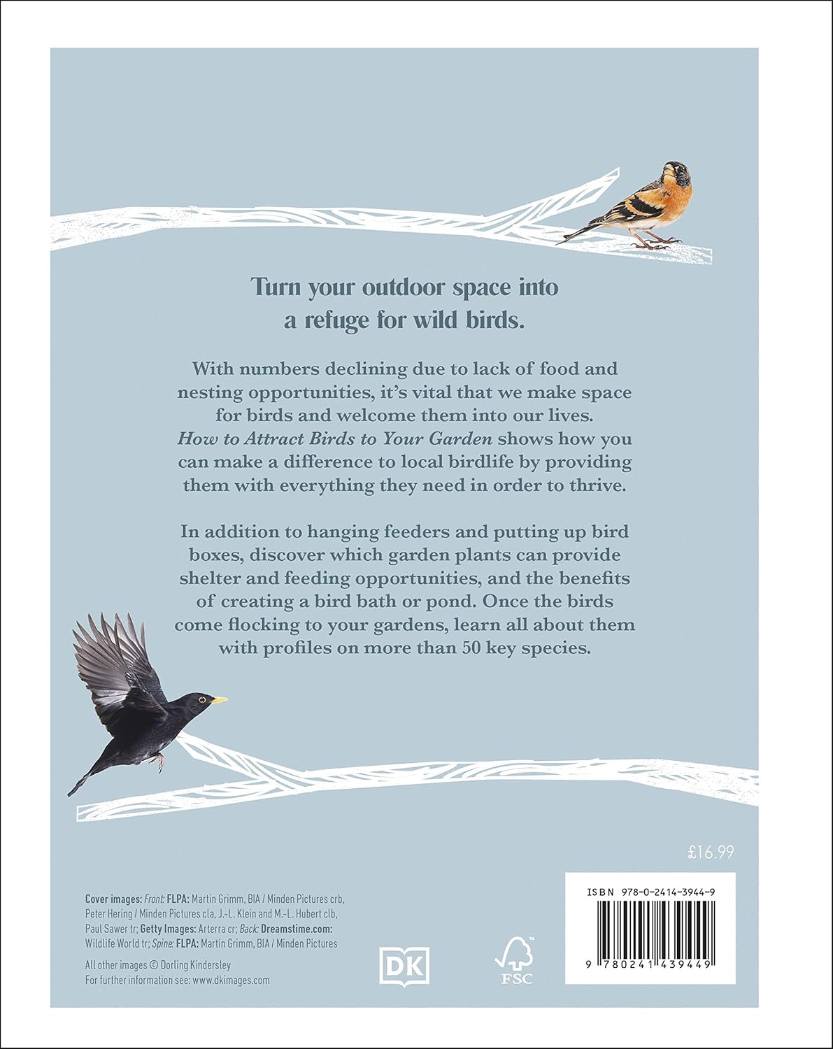 How to Attract Birds to Your Garden - By Dan Rouse