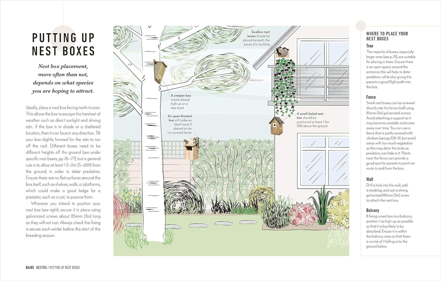 How to Attract Birds to Your Garden - By Dan Rouse