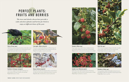 How to Attract Birds to Your Garden - By Dan Rouse