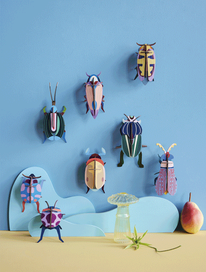 Lemon Fruit Beetle - StudioROOF