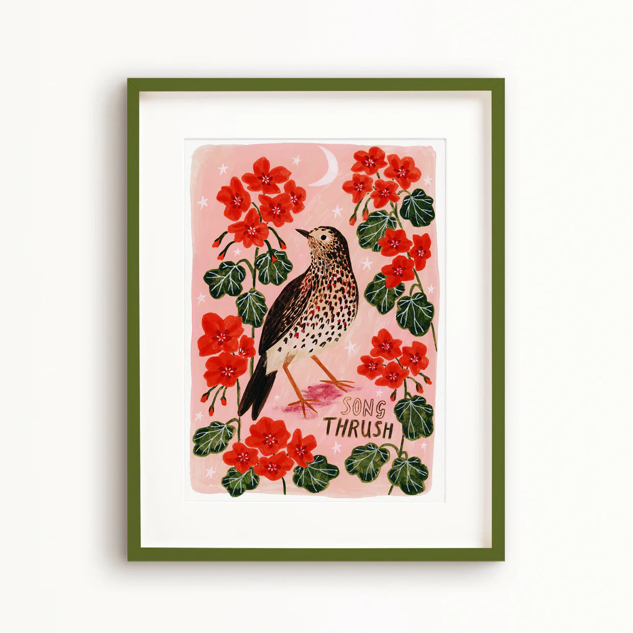 Song Thrush Art Print