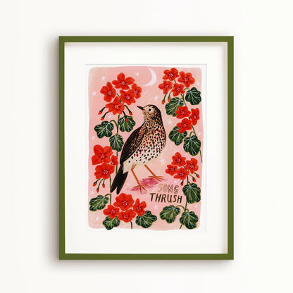 Song Thrush Art Print