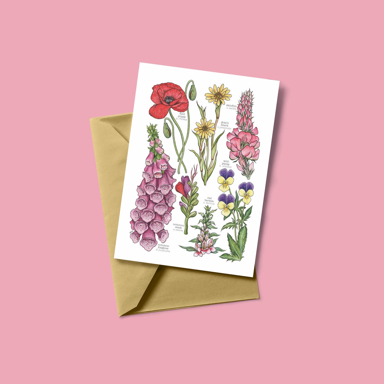 British Wildflower Greetings Card