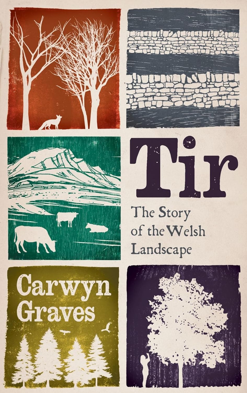 Tir : The Story of the Welsh Landscape - By Carwyn Graves (Hardback)
