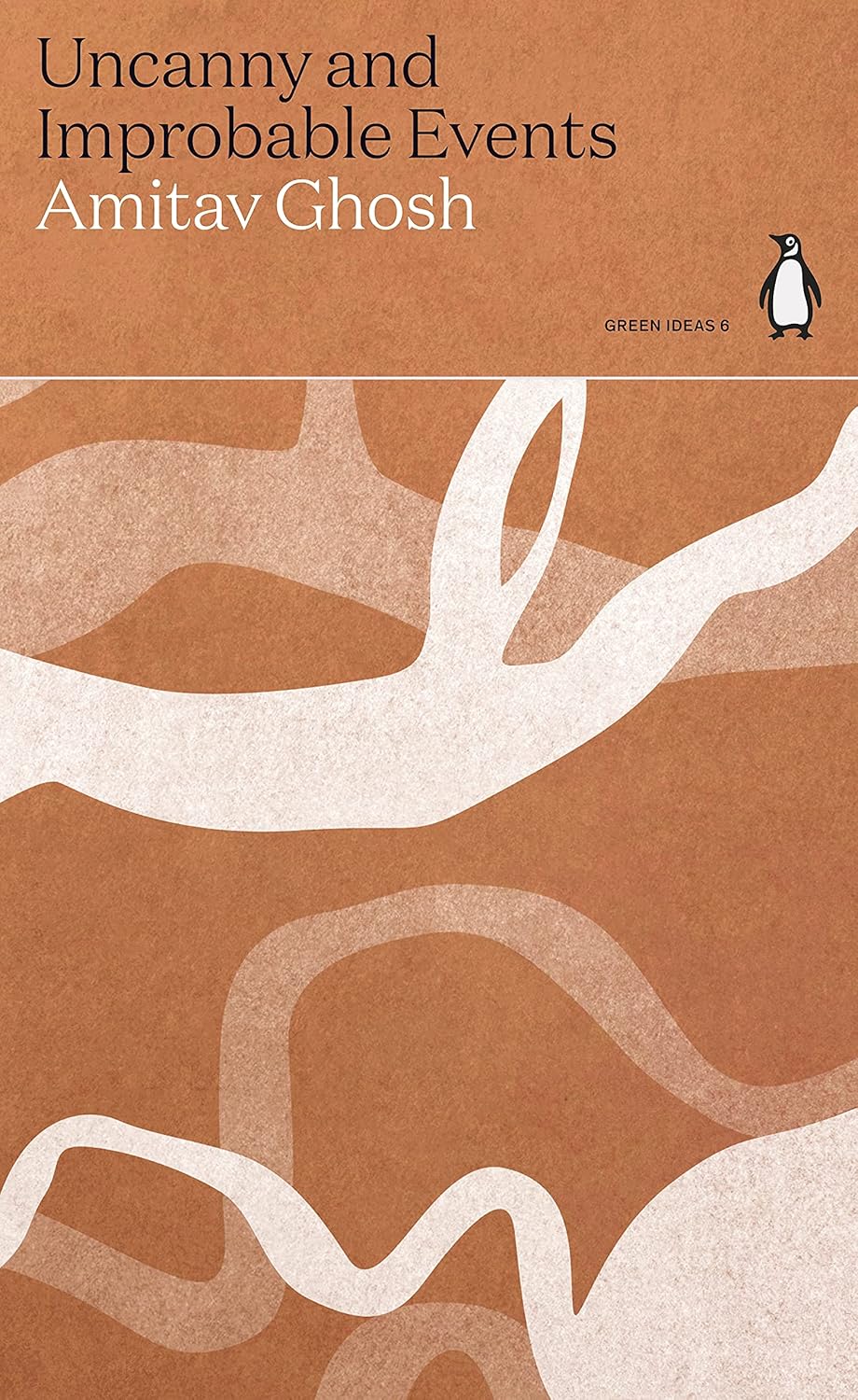 Uncanny and Improbable Events - by Amritav Ghosh