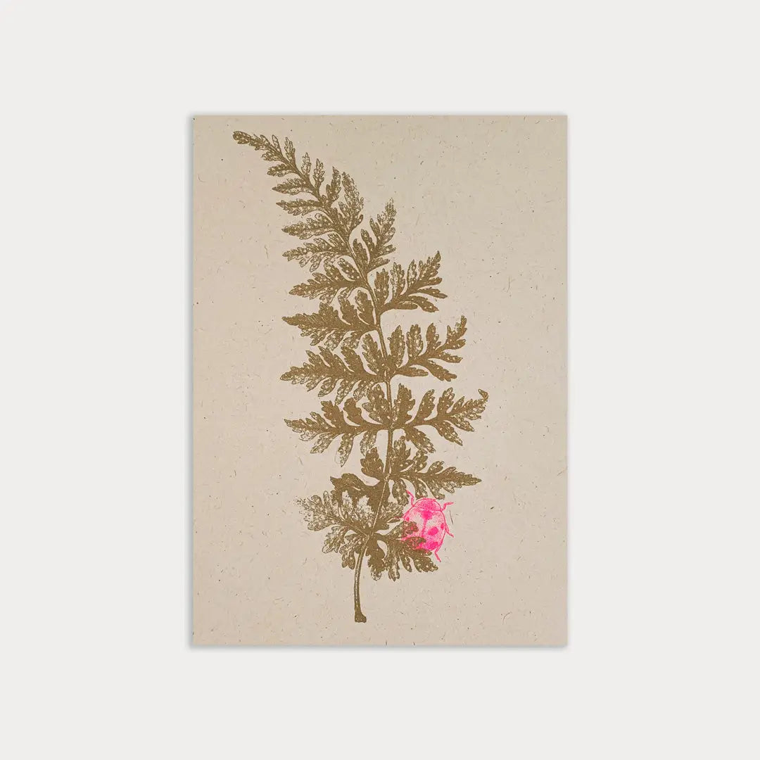 Fern with Ladybird - Postcard