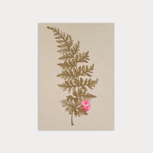 Fern with Ladybird - Postcard