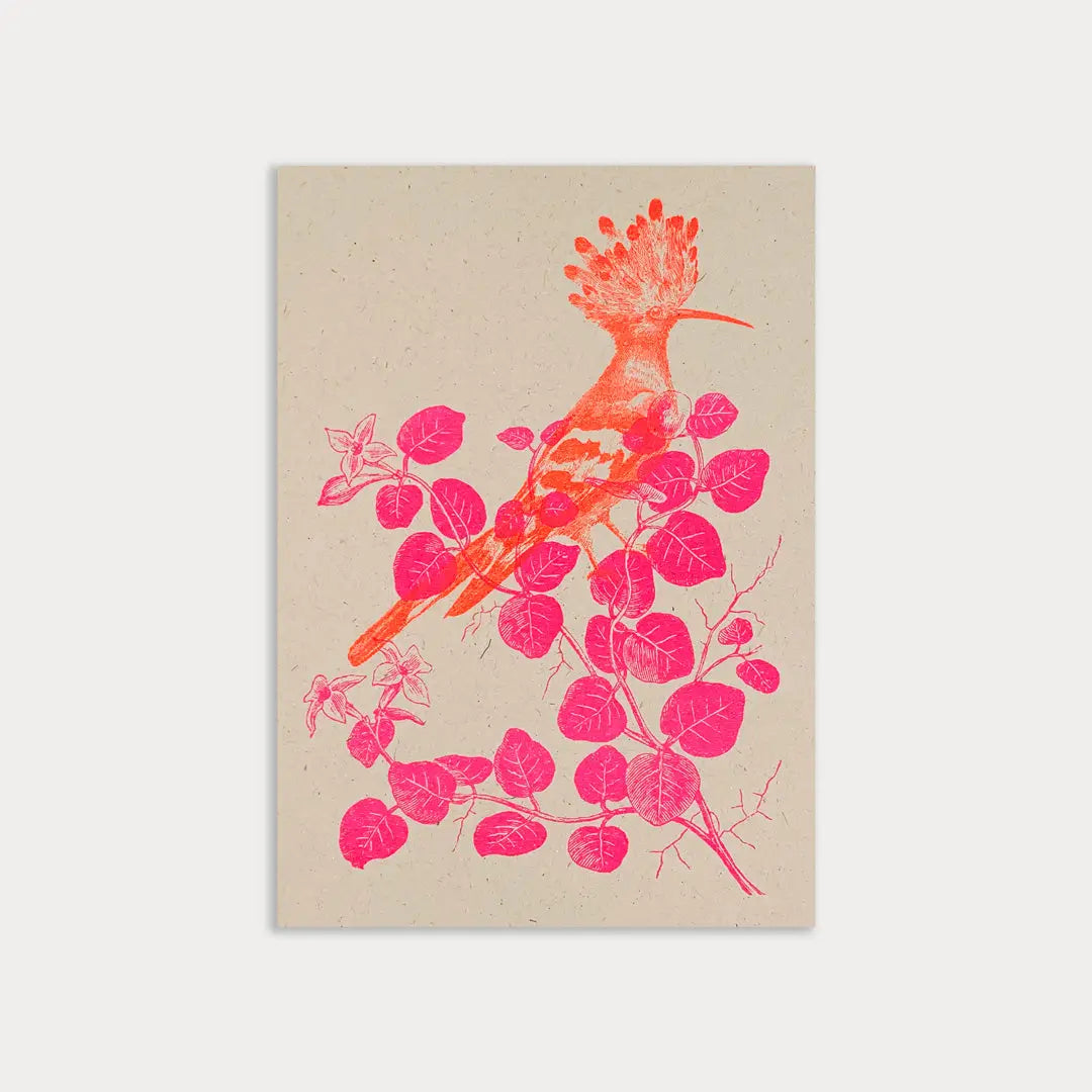 Hoopoe - Postcard