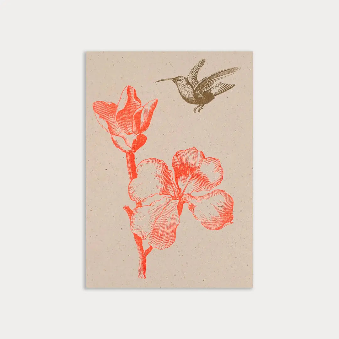 Hummingbird with Flower - Postcard