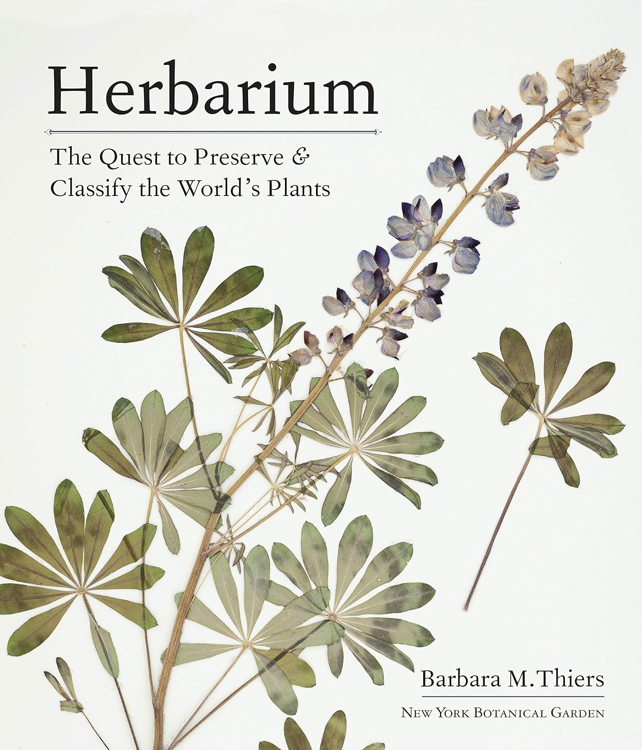 Herbarium - By Barbara M. Thiers