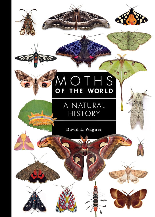 Moths of the World - By David L. Wagner
