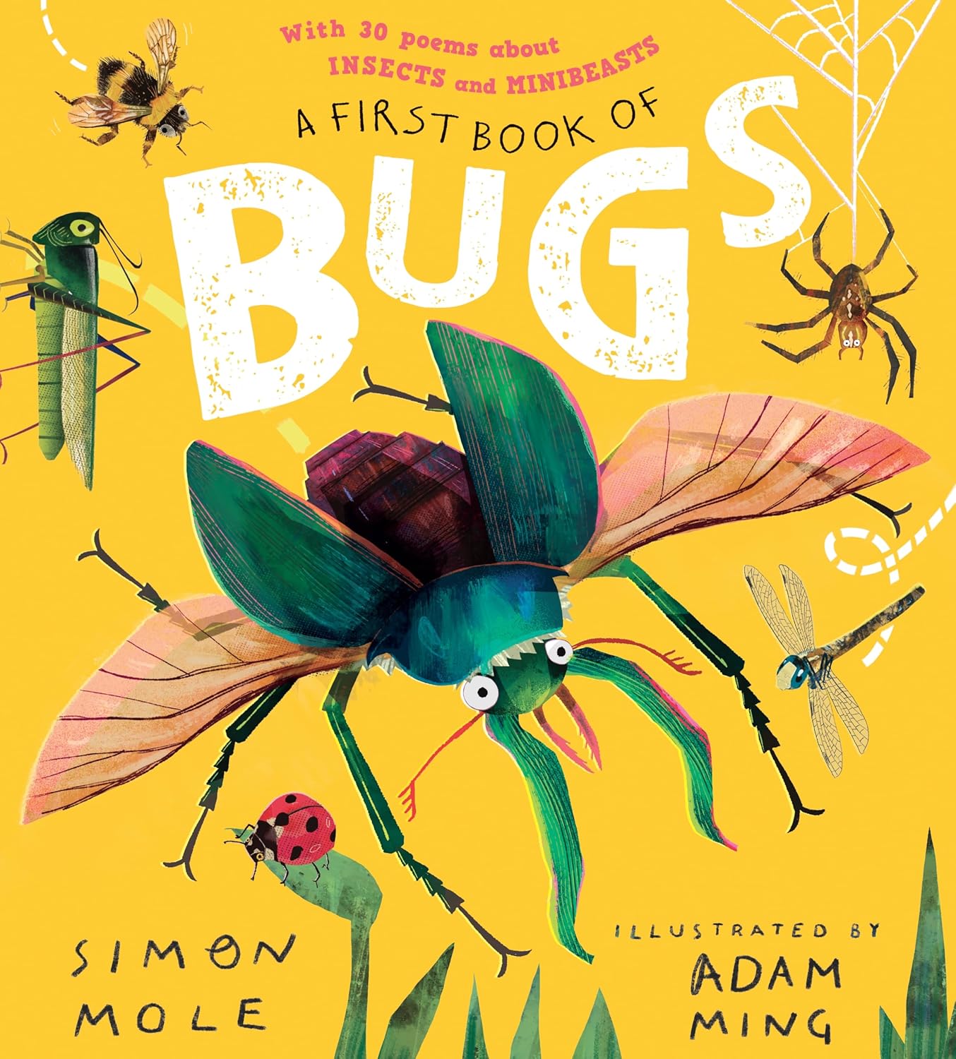 A First Book of Bugs - By Simon Mole
