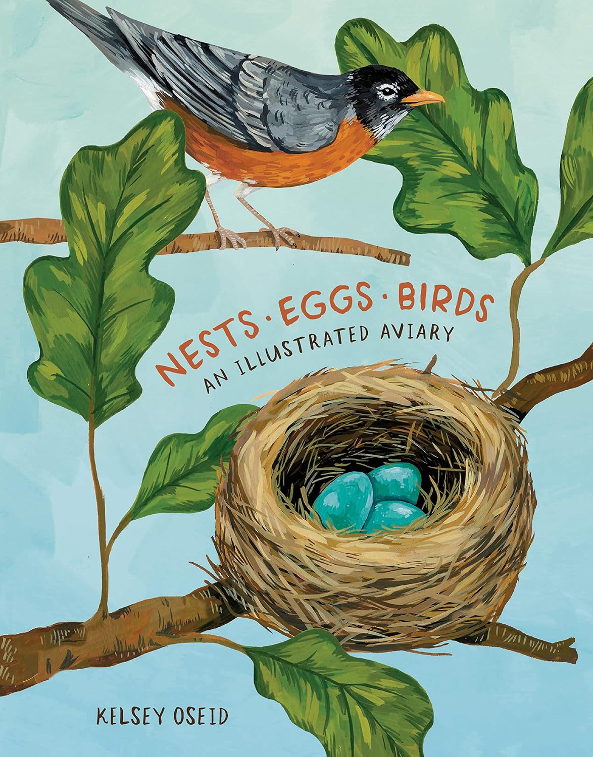 Nests, Eggs, Birds - By Kelsey Oseid