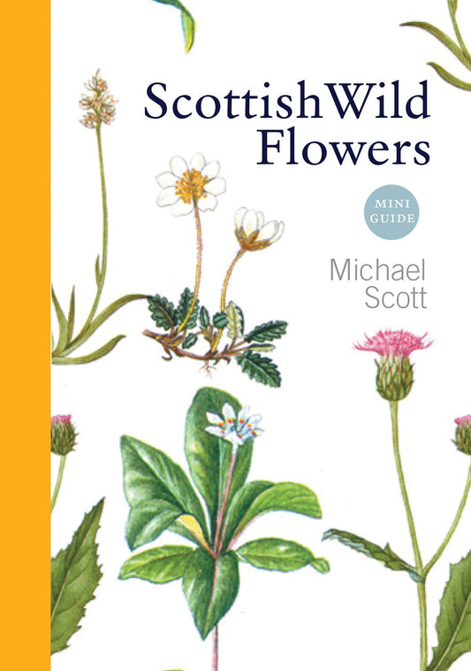 Scottish Wild Flowers (Mini Guide) - By Michael Scott