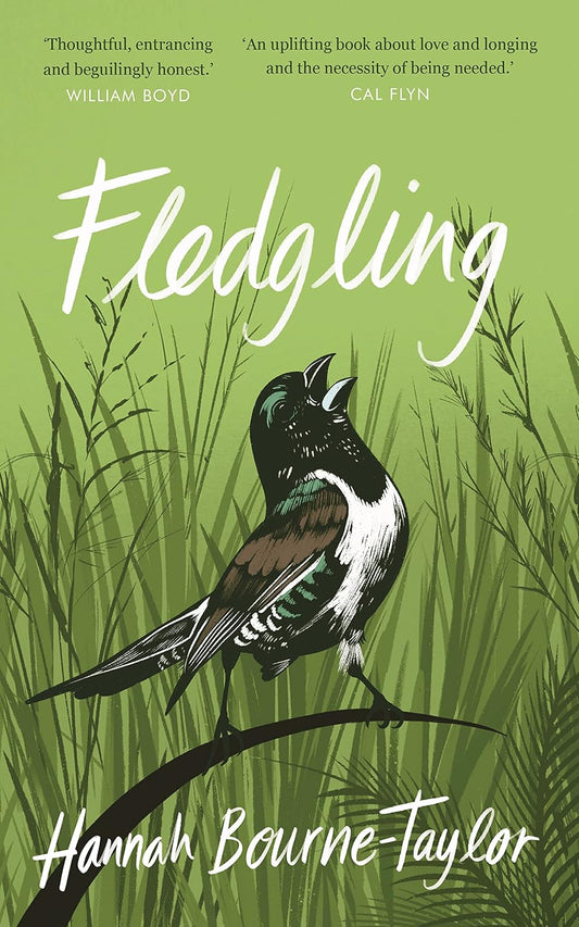 Fledgling - By Hannah Bourne-Taylor