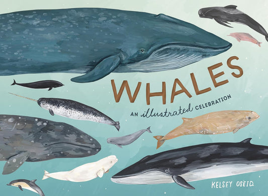 Whales - By Kelsey Oseid