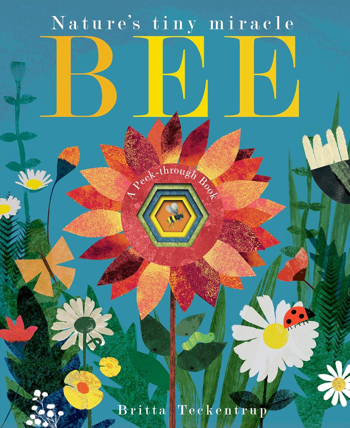 Bee: Nature’s Tiny Miracle - By Patricia Hegarty & Britta Teckentrup