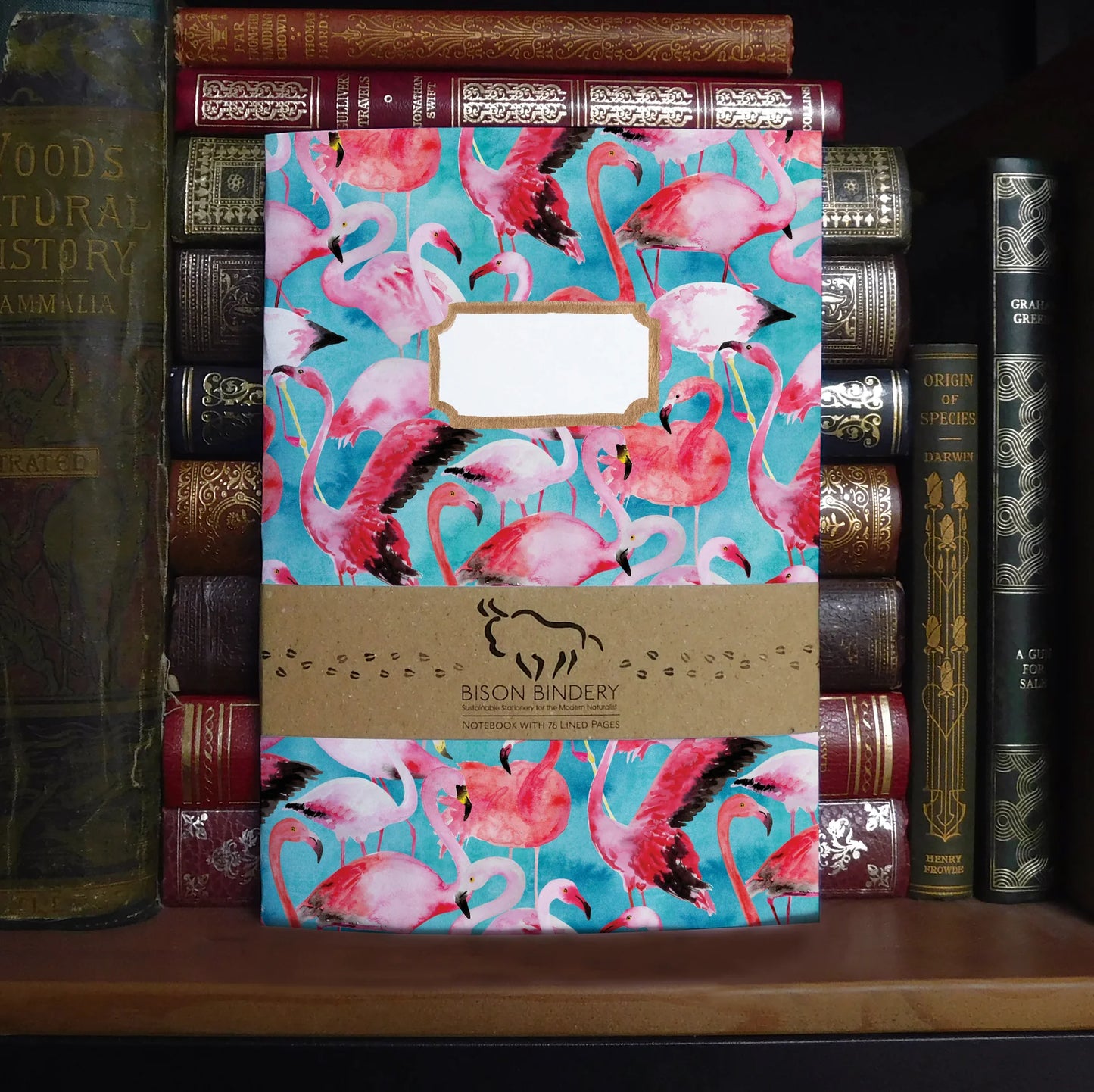Flamboyance of Flamingos Lined Journal