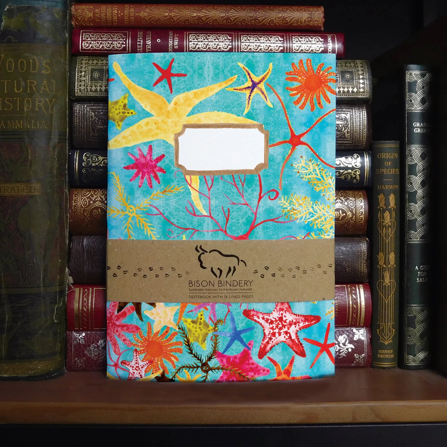 Asterozoa Starfish Lined Journal