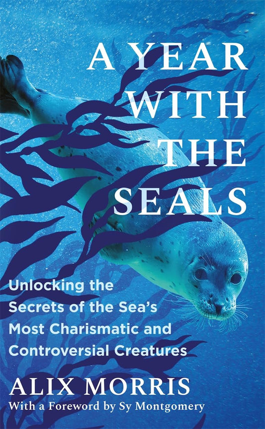 A Year with the Seals - By Alix Morris
