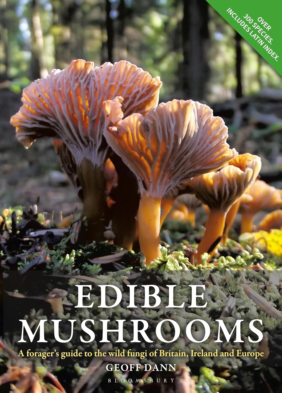 Edible Mushrooms - By Geoff Dann