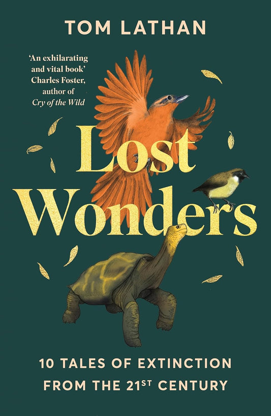 Lost Wonders - By Tom Lathan