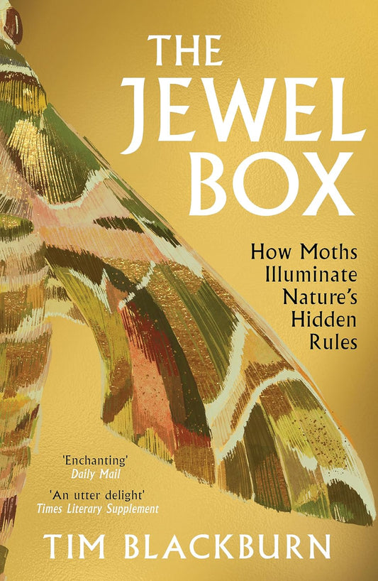 The Jewel Box - By Tim Blackburn