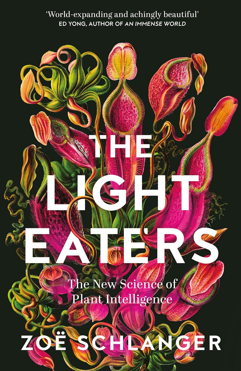 The Light Eaters (Hardback) - By Zoë Schlanger