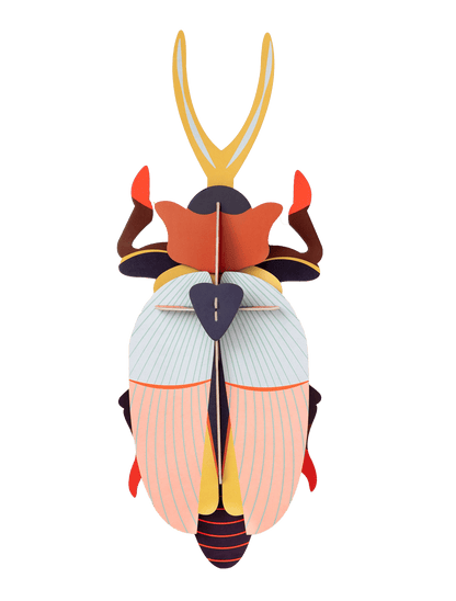 Deluxe Rhinoceros Beetle (Large) - StudioROOF