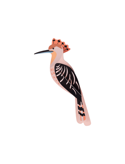 Hoopoe - StudioROOF